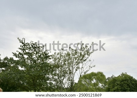 Similar – Foto Bild Sturmwolken über einem goldenen Kornfeld.