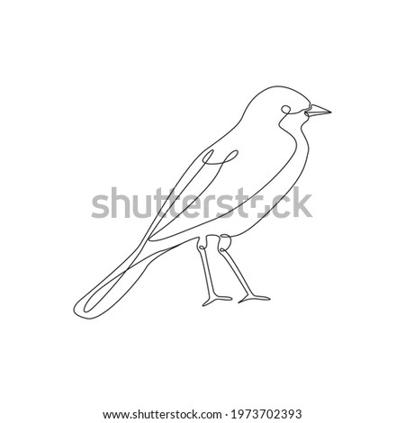 Line drawing wagtail bird tattoo. Vector Illustration. Free single line drawing of bird wagtail. Outline drawing of birds silhouette one line hand drawing continous art. wagtail 
 bird icon line drawn