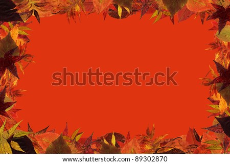 Autumn frame template on orange background