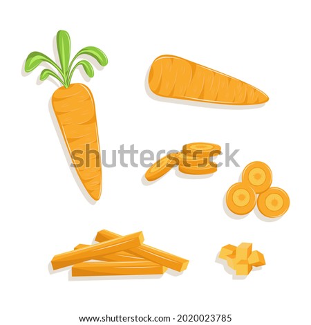 Vector illustration of orange carrots on the white background. Sliced round carrot and chopped carrot. Cut carrot for cook preparation.