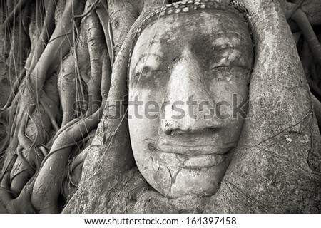 Buddha head in tree roots at Wat Mahathat, Ayutthaya, Thailand. Ancient stone face sculpture in Asia. Famous travel destination