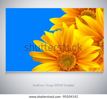 Flower template vector background. Sunflower card