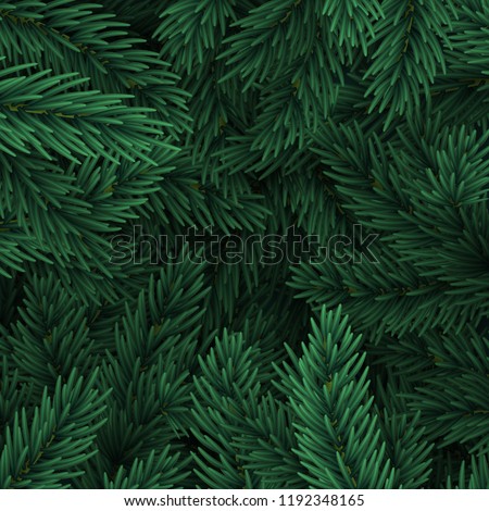 Christmas tree branches. Festive Xmas border of green branch of pine.