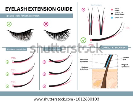 Eyelash extension guide. Tips and tricks for lash extension. Infographic vector illustration. Correct and incorrect attachment. Training poster 