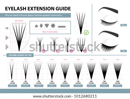 Eyelash extension guide. Volume eyelash extensions. 2D - 10D Volume. Tips and tricks. Infographic vector illustration. Template for Makeup and cosmetic procedures. Training poster 