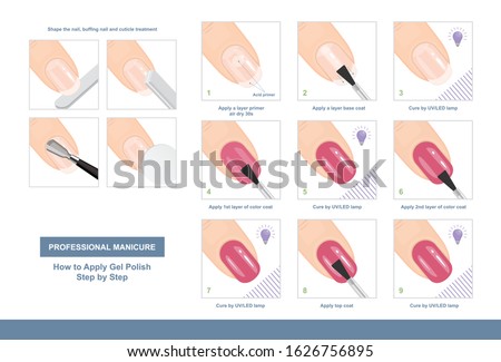 How to Apply Gel Polish Step by Step. Professional Manicure Tutorial. Vector illustration