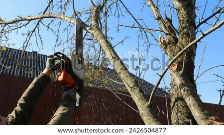 Similar – Image, Stock Photo Cutting trees using an electrical chainsaw in the forest.