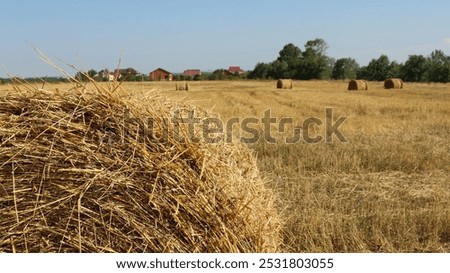 Similar – Image, Stock Photo Late summer rolls Field
