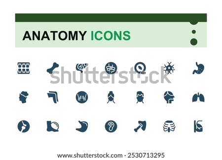 Anatomy solid icons set. Related to eye, nose, mouth, ear, brain, head, liver and more. Filled style human body part and organs vector icons collection. Editable and pixel perfect.