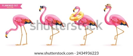 Summer flamingo vector set design. Flamingo bird in pink and colorful feather wearing sunglasses, floaters and hat for tropical season cute animal collection. Vector illustration flamingo bird 