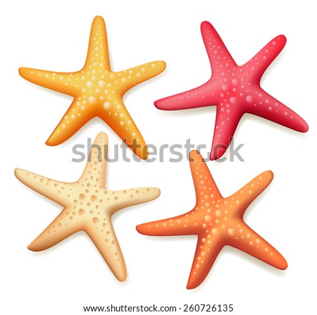 Realistic Colorful Starfish Set in White Background. Vector Illustration