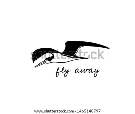 Vector illustration of hand drawn flying black skimmer. Beautiful animal design elements, ink drawing.