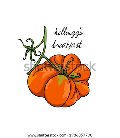 Vector illustration of hand drawn ripe Kellogg's Breakfast heirloom tomato on a green branch. Beautiful food design elements, perfect for food related industry