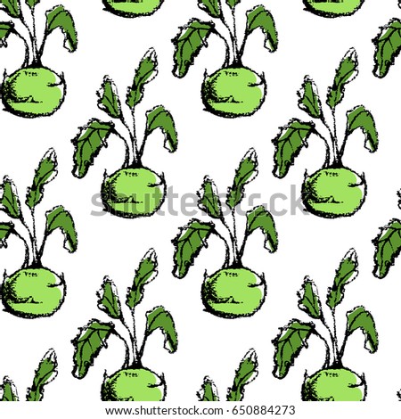 Vector seamless pattern with hand drawn ripe kohlrabi. Beautiful design elements, charcoal drawing