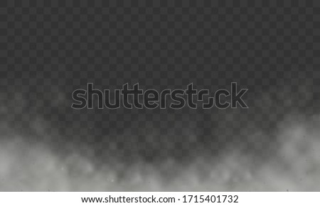 Fog or smoke isolated vector transparent special effect. Realistic smoke, haze, mist or cloudiness affect. Transparent clouds spring sunny weather cloudscape special effect, mist or smog background.