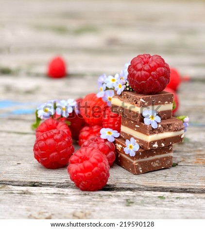 Fresh raspberries with chocolate cubes Fresh raspberries with ice chocolate and flowers forget-me-on the old wooden table