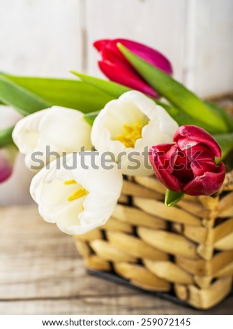 Tulip flowers in basket on a light wooden background