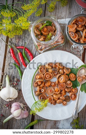 Saffron milk cap mushrooms pickled garlic dill and pepper in a bowl and banks in a simple wooden background. Rustic style. selective Focus
