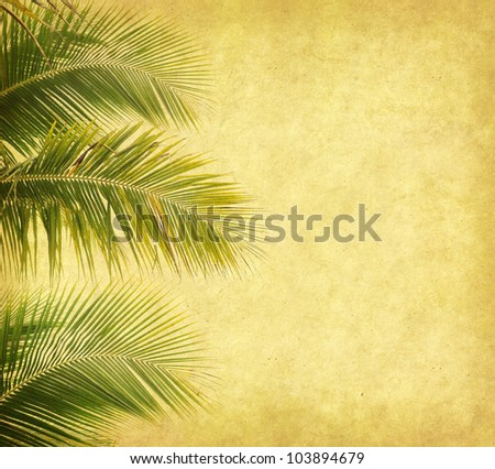 palm with set of abstract painted background