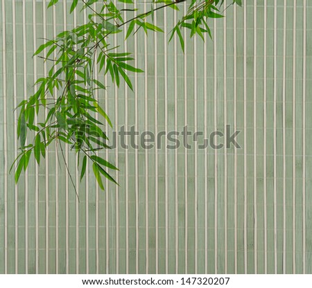 bamboo Background great for any project. frame of bamboo-leaves background.