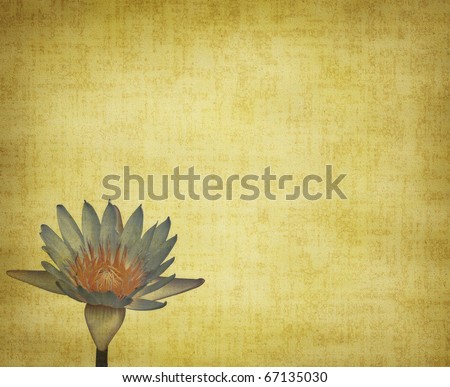 lotus with set of abstract painted background