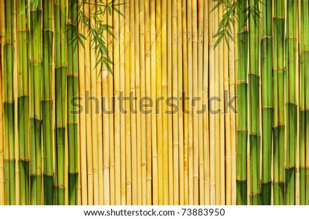 bamboo Background great for any project. frame of bamboo leaves background.