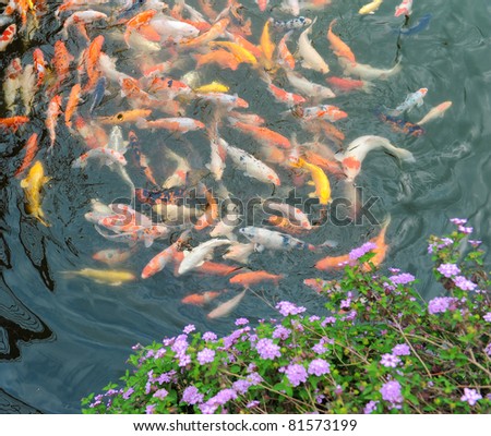 Red and gold fishes over water golden