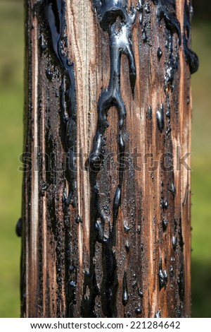 Black pitch runs down a brown wooden post.