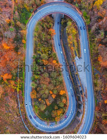 Shutterstock Puzzlepix
