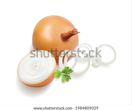 Realistic 3d onion vector illustration. Half of gold onion, onion rings, bunch of parsley. Glossy vegetables. Slice closeup phoorealistic isolated on white yellow onion. Fresh grocery harvest set