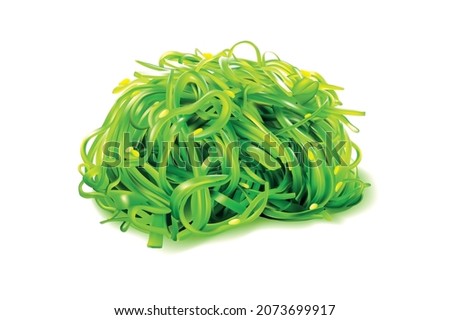 Hiyashi Wakame seaweed salad with sesame seeds realistic 3d vector illustration. Green fresh japaneese appetiser on white background. Vegeteriat superfood. Asian chuka hiyashi wakame salad isolated