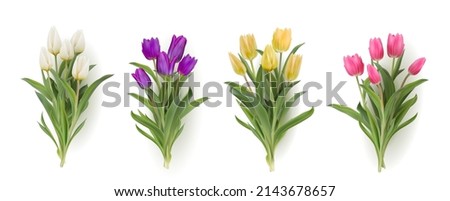 Multicolour bouquet of tulips realistic 3d vector illustration big set. Yellow, white, pink, purple tulips with leaves isolated on white. Women day 8 march spring symbol. Bouquet fresh shiny tulips 