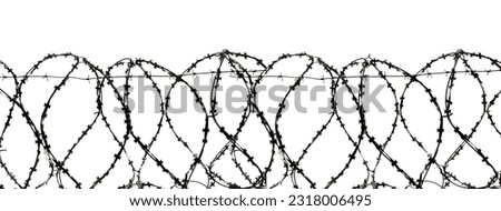 Barbed wire isolate. Territory protection wire Foto stock © 