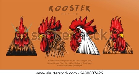 Rooster head logo vector illustration. Emblem, Icon, Badge. chicken rooster premium logo. chicken farm 