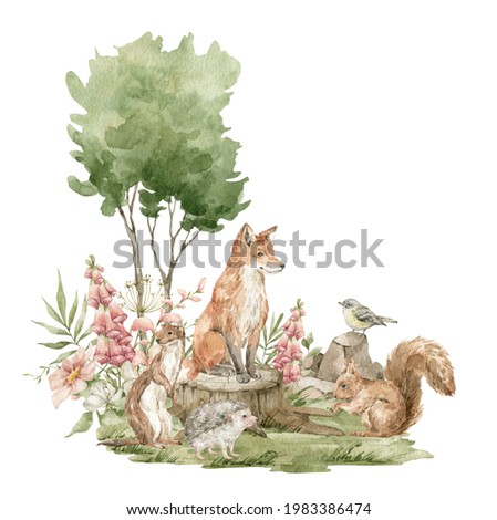 Watercolor forest landscape. Trees, field, stump, fir-trees, wild animals. Red fox, bird, weasel, squirrel, meadow flowers. Summer woodland, nature scene, valley