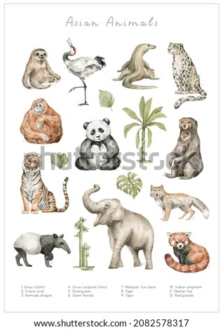 Watercolor Asian wild animals. Sloth, Komodo dragon, snow leopard, orangutan, panda, Sun ber, tiger, elephant, tapir, red panda, Tibetan fox, crane bird, palm tree. Hand-painted forest wildlife.  Stock fotó © 