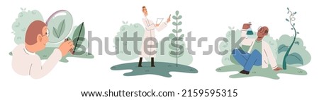 Scientist explores vegetable life and plants in nature. Biologists in forest studying biological species and environment. Explorer conducts experiments takes care of ecology and endangered green herb