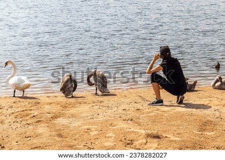 Similar – Foto Bild Junge Frau füttert Schwäne, am Ufer.