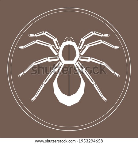 Download Tarantula Wallpaper 240x320 | Wallpoper #95826