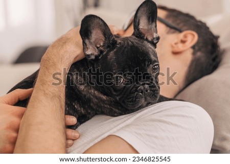 Similar – Image, Stock Photo french bulldog puppy in his best friend hands