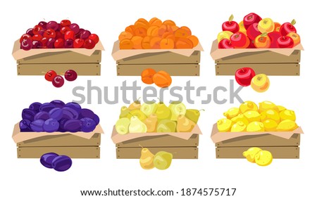 Set of vector illustrations. Fruits in wooden boxes. Plums, cherries, lemons, pears, apricots, apples. Isolated on a white background.