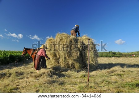 An old couple of farmers load hay onto their hay cart while their dog watches on, and the mule in harness waits patiently