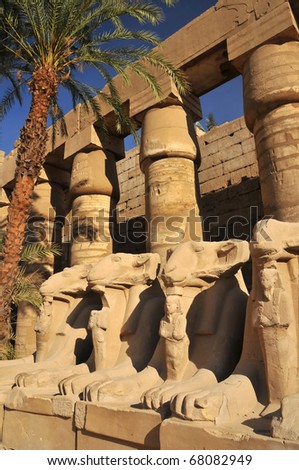 Avenue of ram headed sphinxes in the great court of the ancient Egyptian temple of Amun at Karnak, Luxor in Egypt