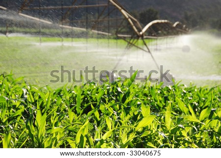 Pivot irrigation system watering a farm field