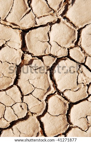 Cracked dry mud looking like a puzzle