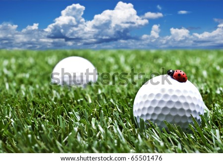 a Lady bird on a golf ball on a grass gold course