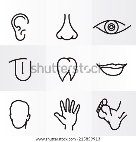 Set Icons With Flat Parts Of The Human Body Ear Nose Eyes Tongue Teeth ...