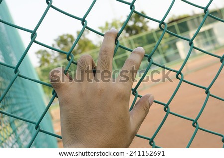hand holding on chain link fence green
