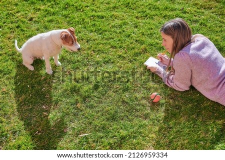 Similar – Foto Bild Jackrussel-Hund auf der Couch liegend