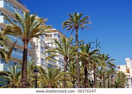 Green palms, hotels and luxury apartments in Lloret de Mar, Spain.